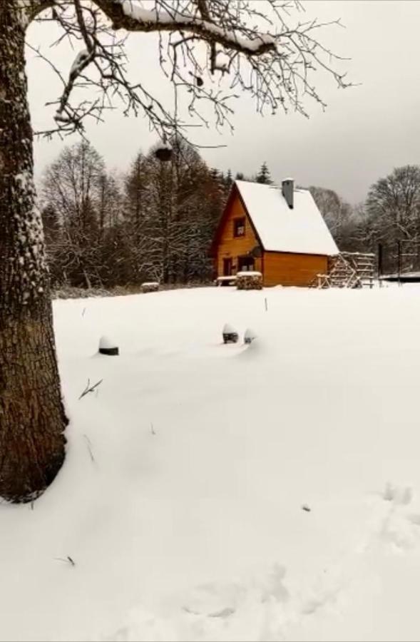 Villa Dwernik Bukowina Bieszczady Exterior foto